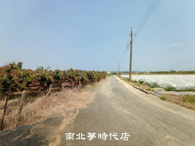 官田區社子段芒果園