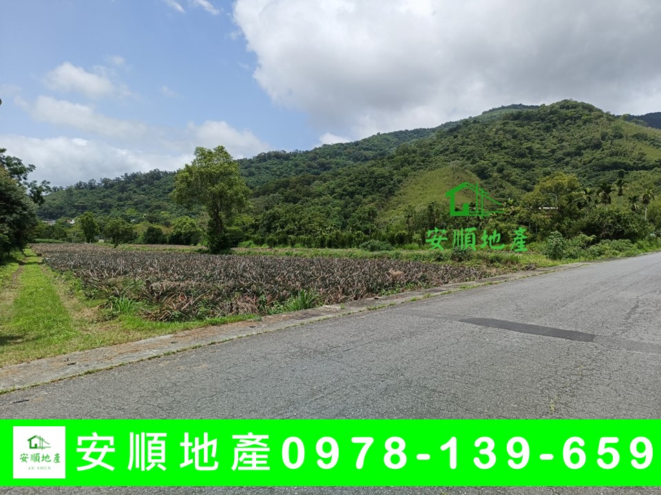 台東農地-永安鳳梨田農地獨家銷售
