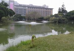 興大vs東峰公園建地