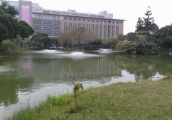 興大vs東峰公園建地