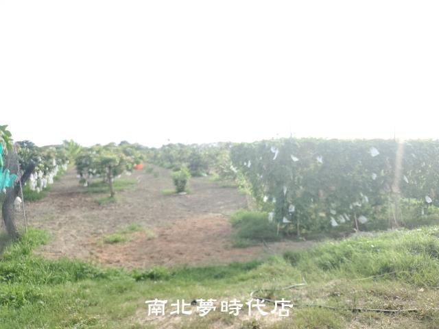 麻豆休閒農地(有合法資材室)