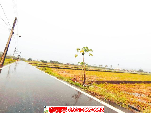美濃重劃方正農地