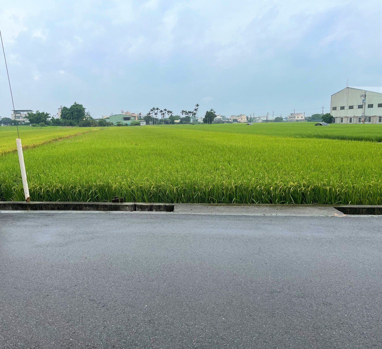 后里國中邊美農地