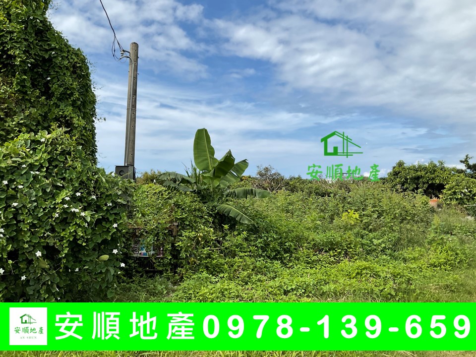 台東農地-豐源農地