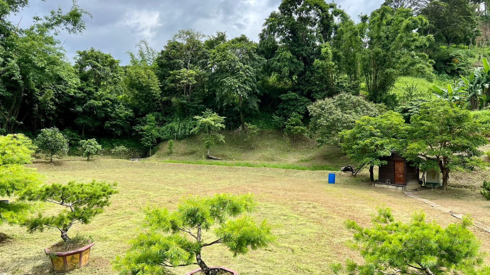 新竹縣芎林鄉臨圳平緩農園土地776坪售價1880萬