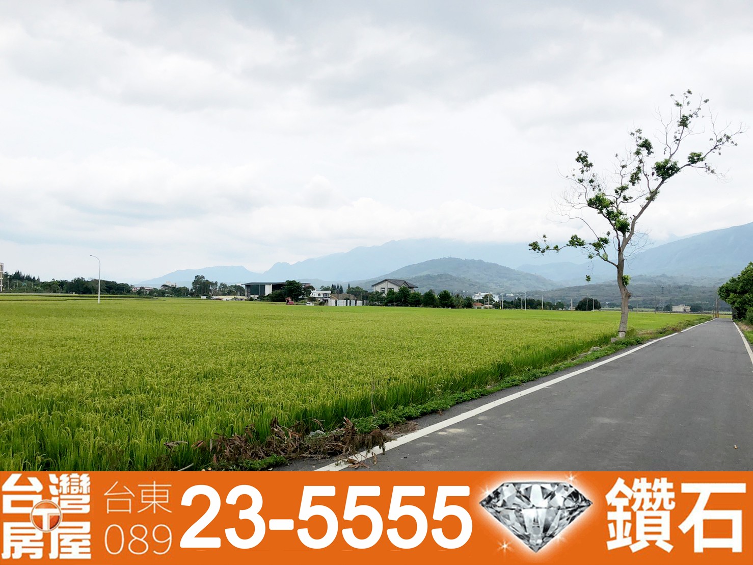 縱農190_池上鄉雙面路好風光農地