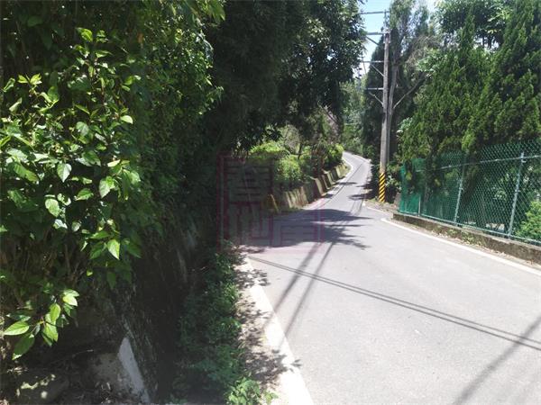竹東東泰高中櫸木樹林露營用地-春明地產-035551111