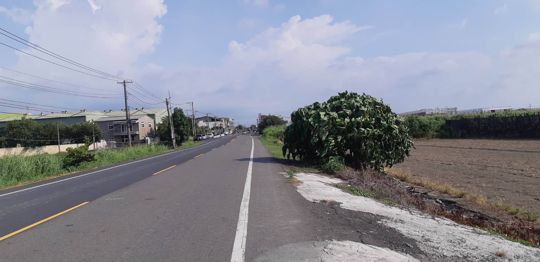 大美農地4.1分
