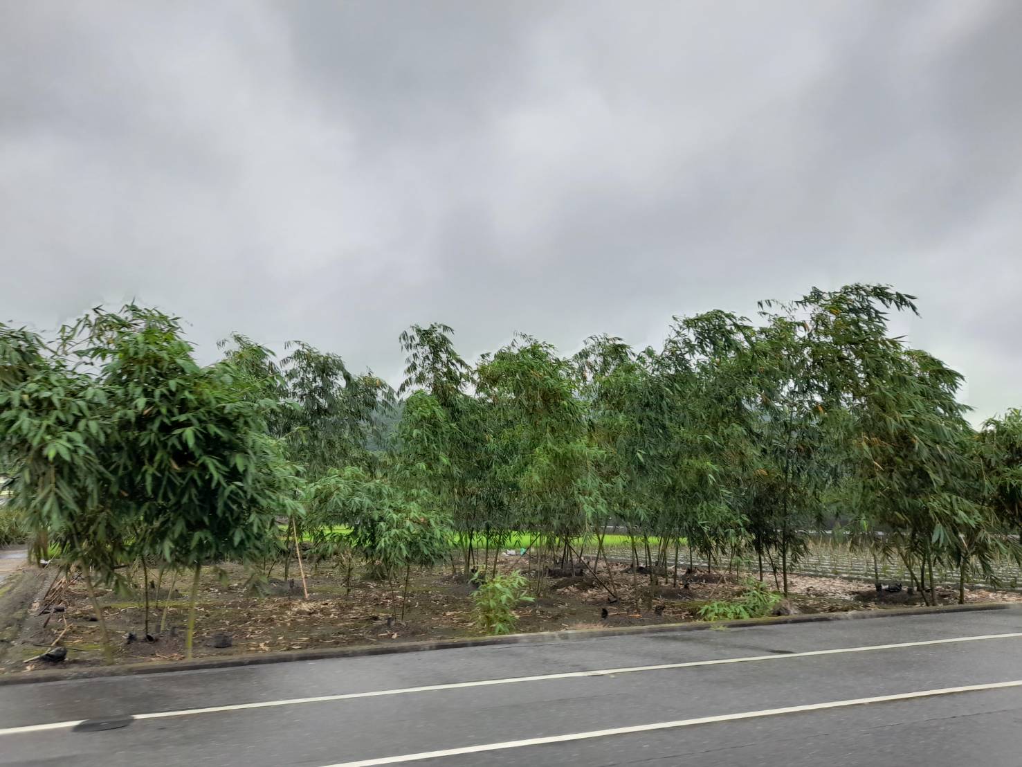 北斗正斗中路丁種工業用地174坪
