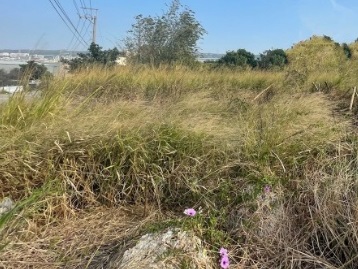 北斗復興路住宅區建地98坪