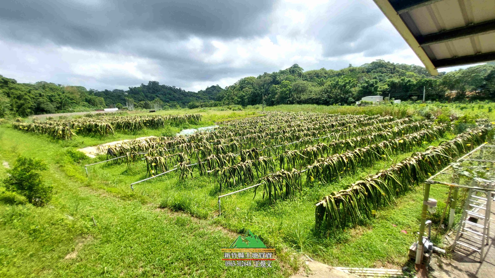 新竹縣峨眉鄉近台三線果園+資材室1571坪售價1490萬