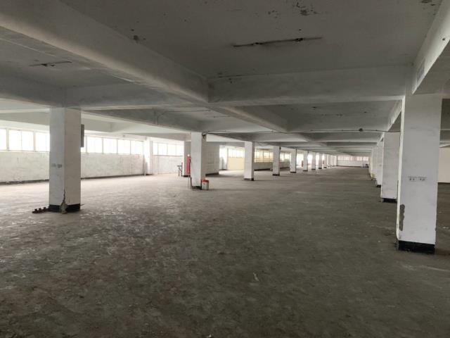觀音工業區RC廠房出租22