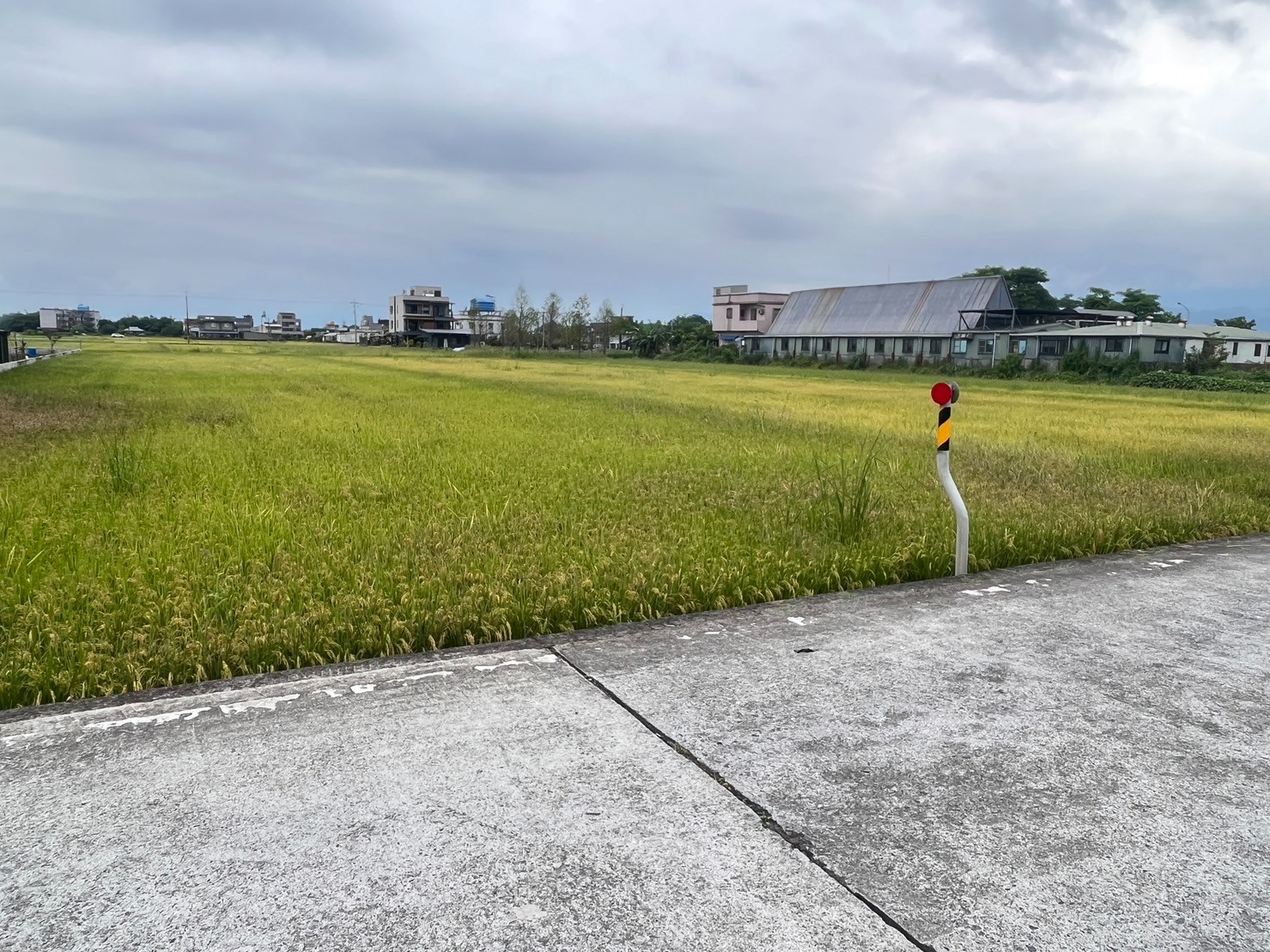 近191老農可配建足坪農地