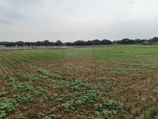 竹北㊣鳳岡路路邊農地+資材室-春明地產-035551111