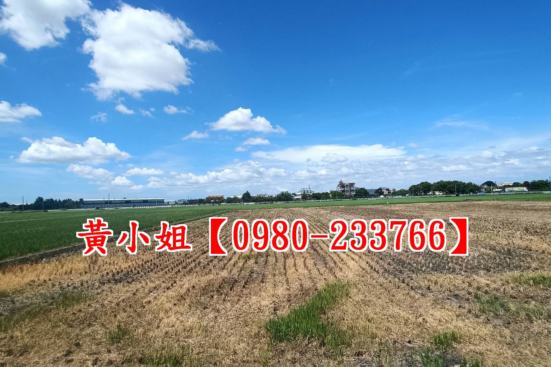 兆豊冷藏旁美田★洽黃小姐0980-233766