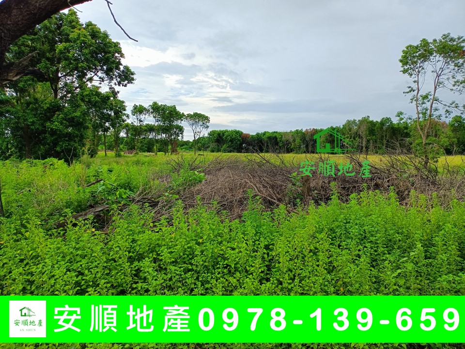 台東農地-建華段都內農地