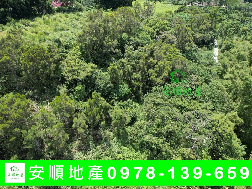 台東農地-高台農地