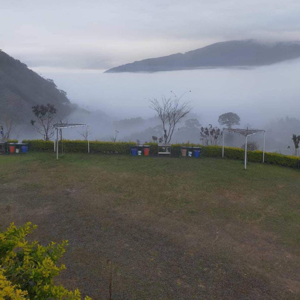 五峰~雲山水 美營地