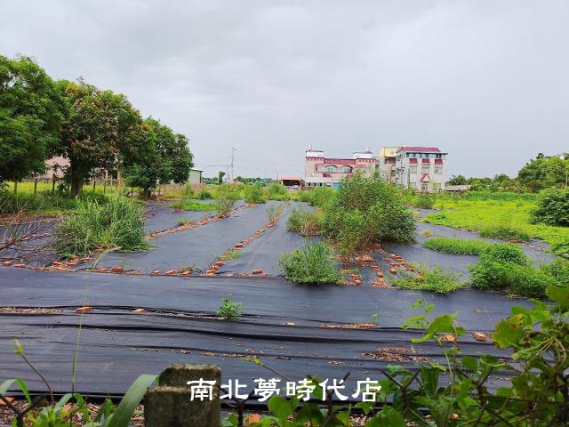 柳營中山西路農地(專)