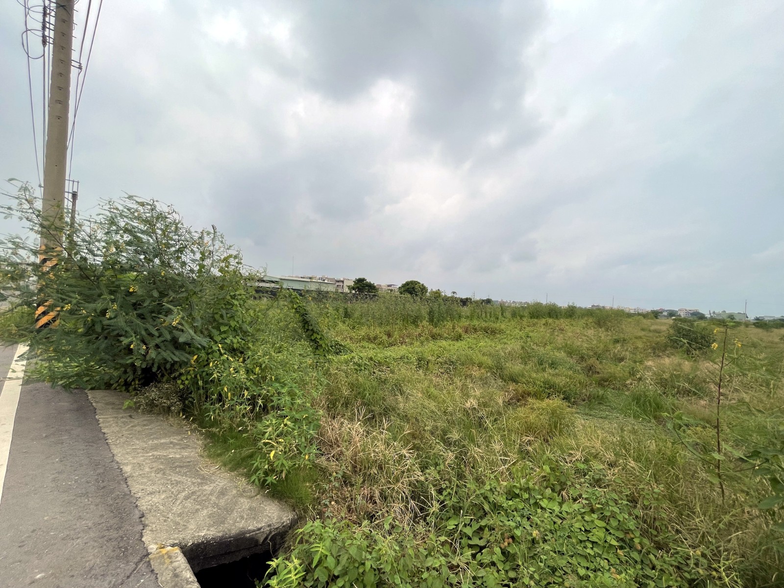 安定新吉332坪優質農地