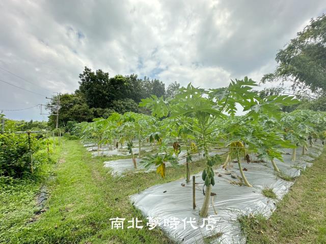 左鎮近台20線2.3甲農地