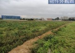 (綠446)中正路山東國小㊣山坪路美農地