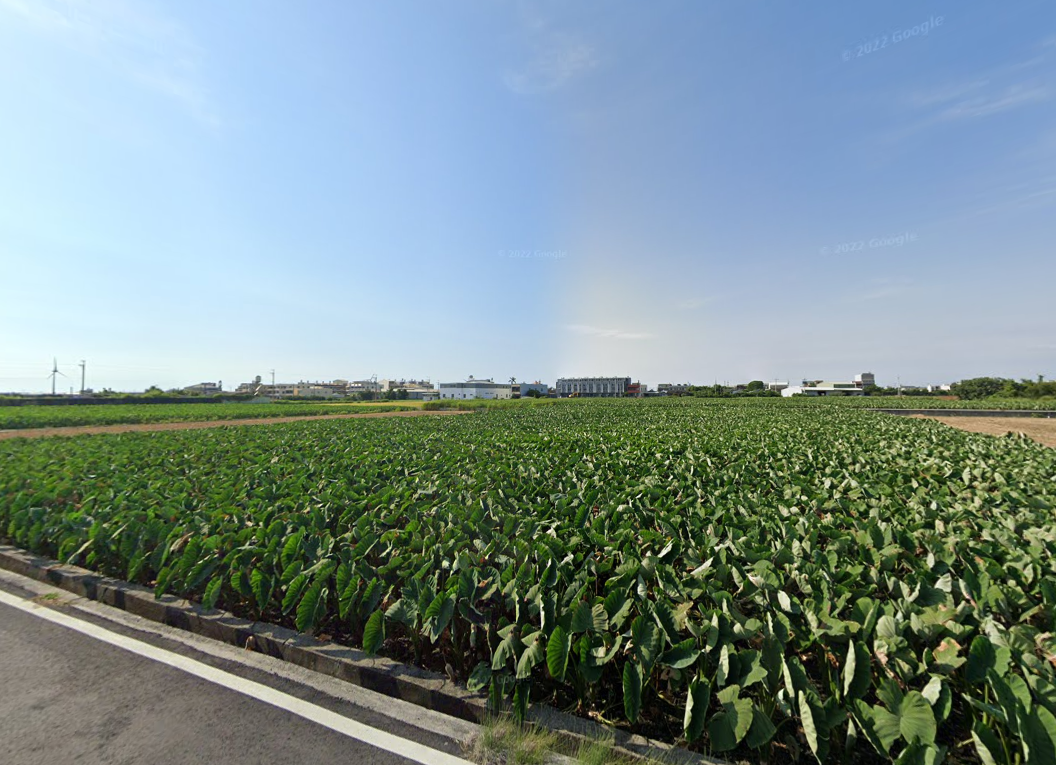 大安東西路農地4086坪