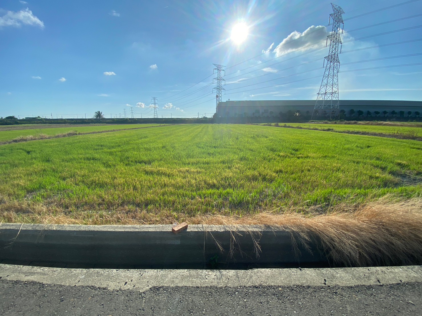 高雄路竹1500坪便宜農地
