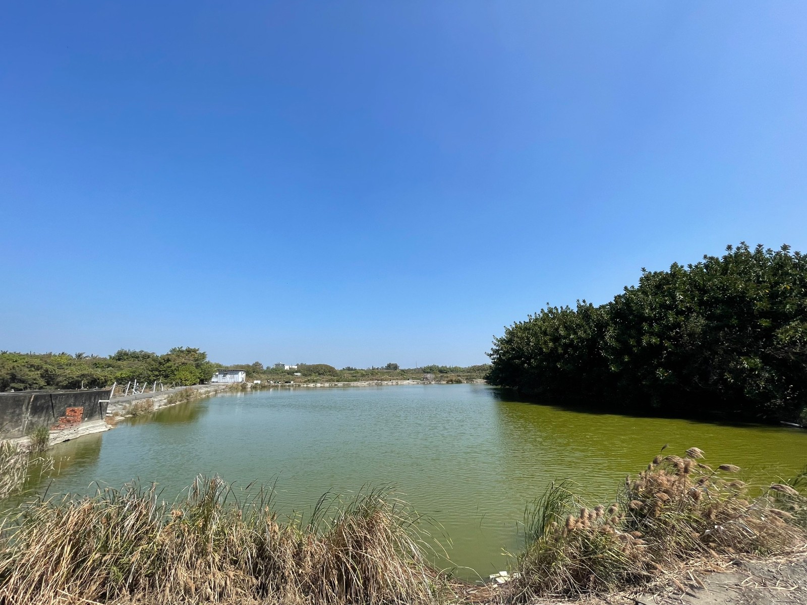 安南區近四草大橋4000坪遊樂區土地