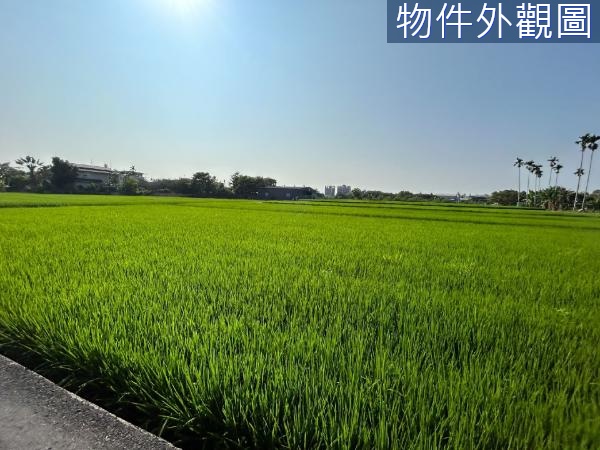擴大大里都市計畫農地(一)