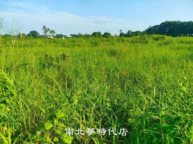 嘉藥都計農地