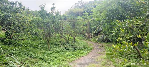 新竹縣寶山鄉三峰路橘園農地-春明地產-035551111