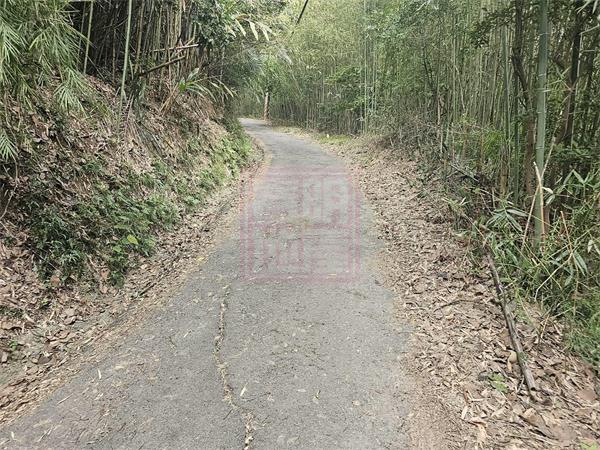 新竹縣芎林鄉下山景觀休閒地-春明地產-035551111