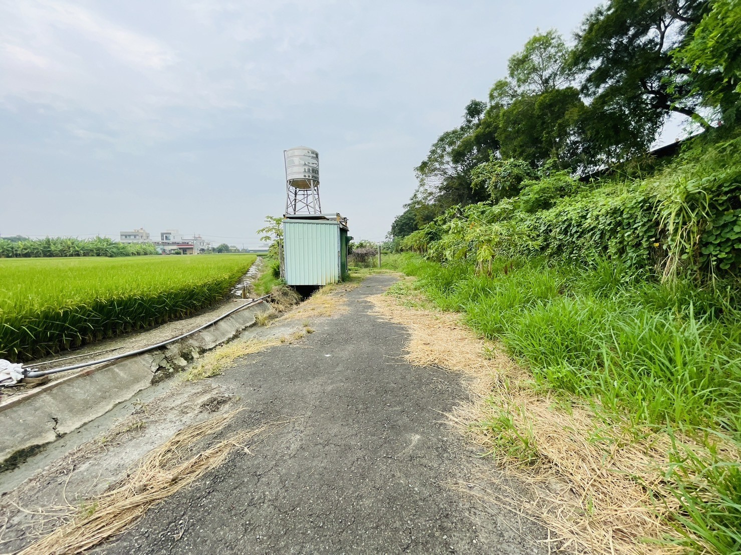 民雄頂寮休閒農地