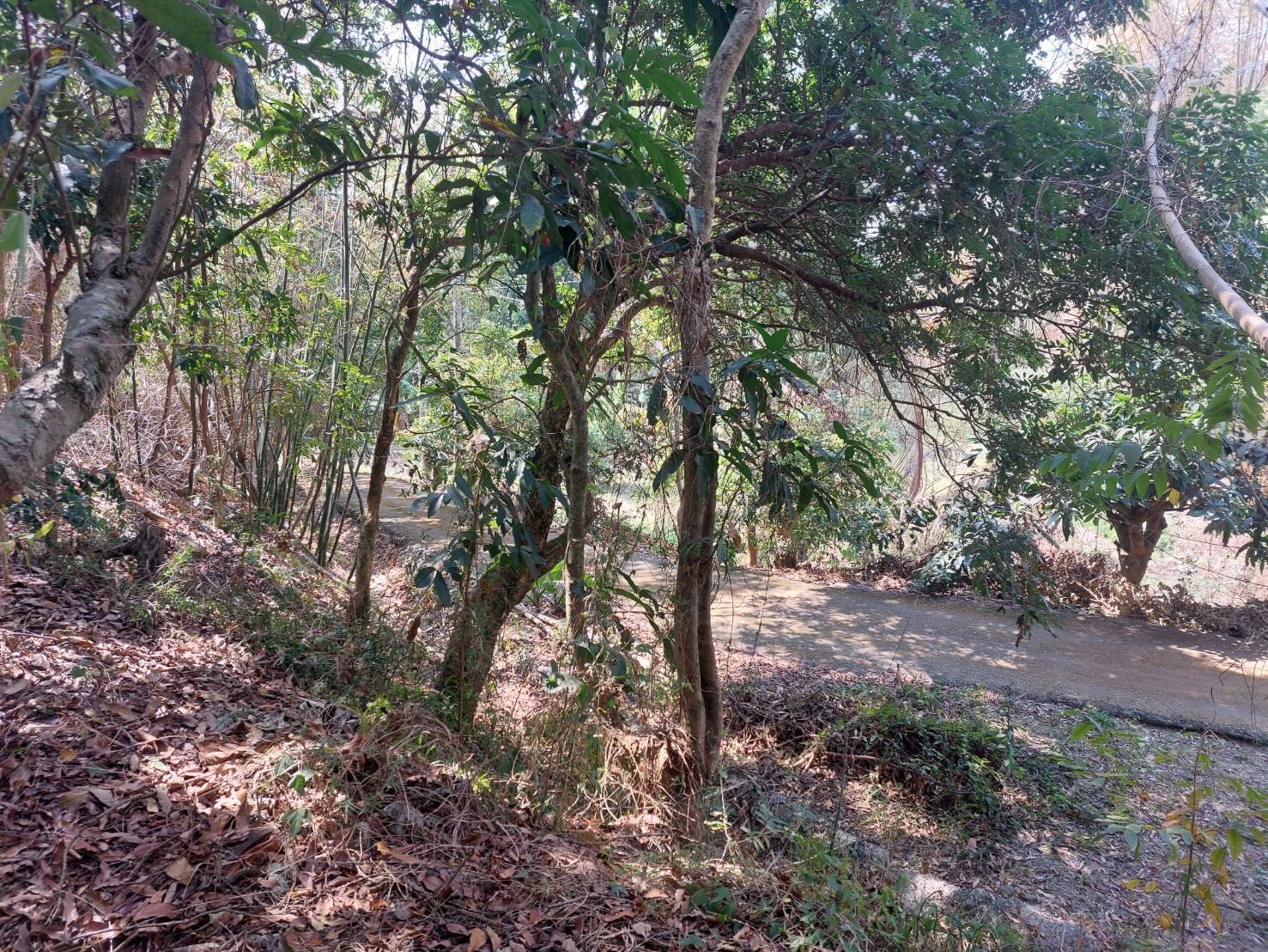 台南市南化國小旁低總價農地