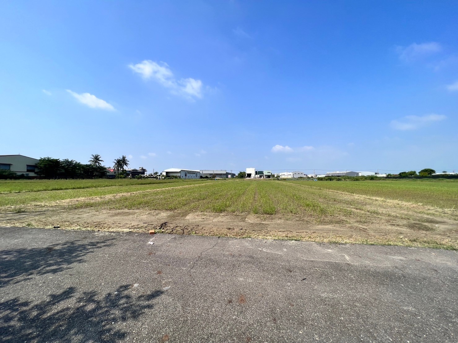 台南安定新吉工業區726優質農地