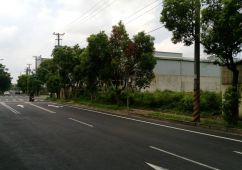 楊梅市區工業地