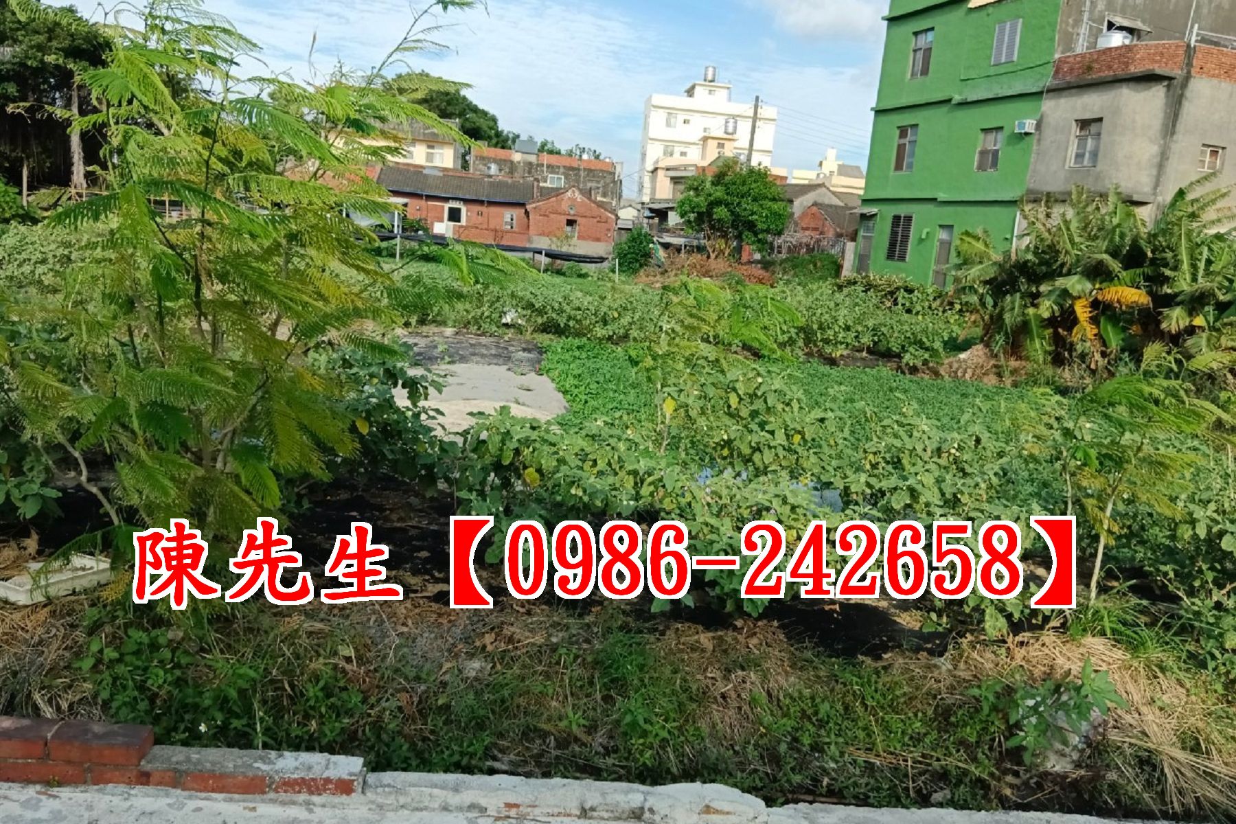 彰美路VS線東路農場-洽陳先生0986-242658