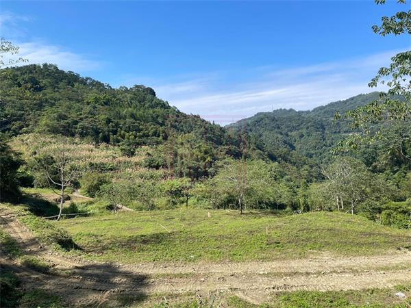 新竹縣橫山鄉大山背便宜美田-春明地產-035551111