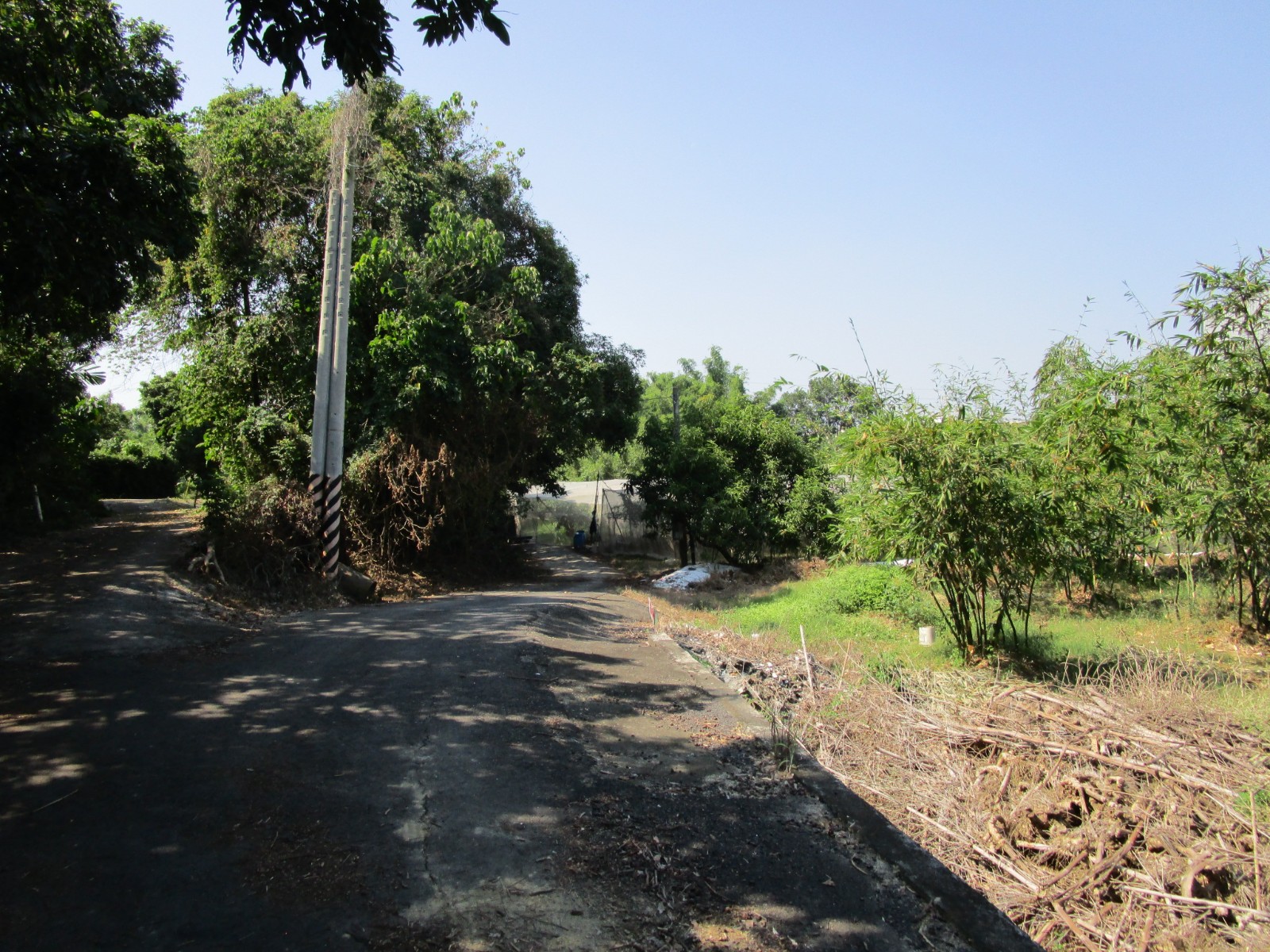 關廟崇和國小農地