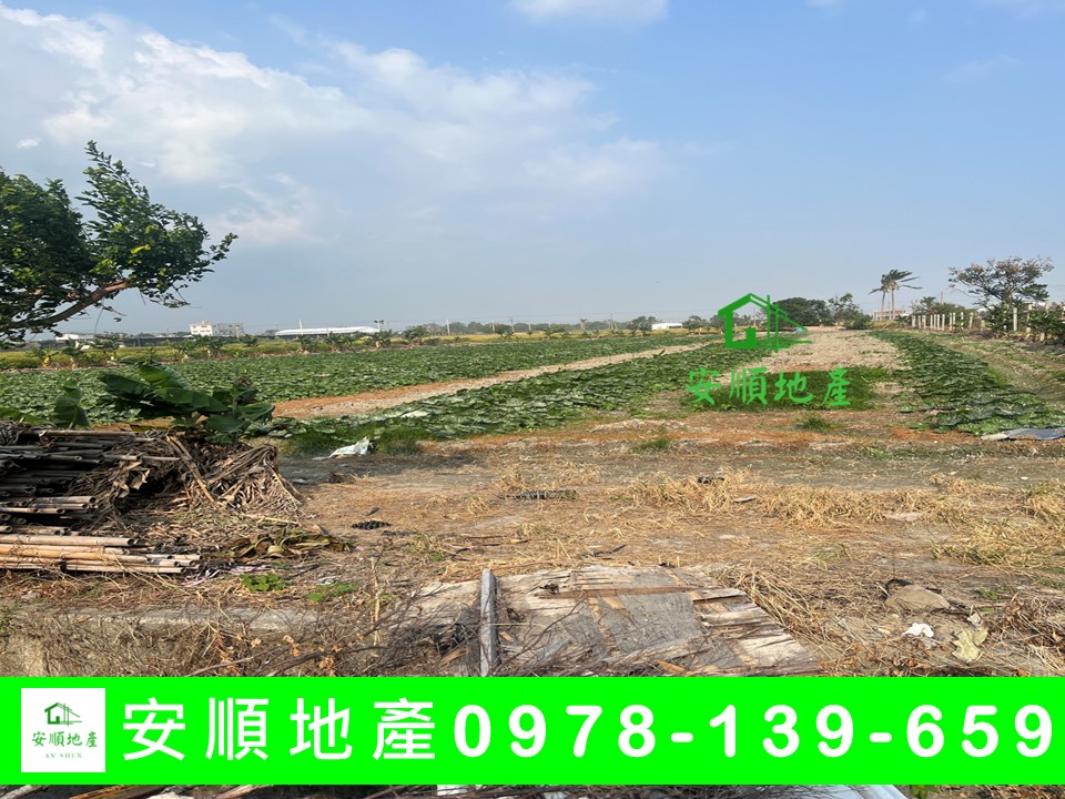 台東農地-三角窗漂亮農地