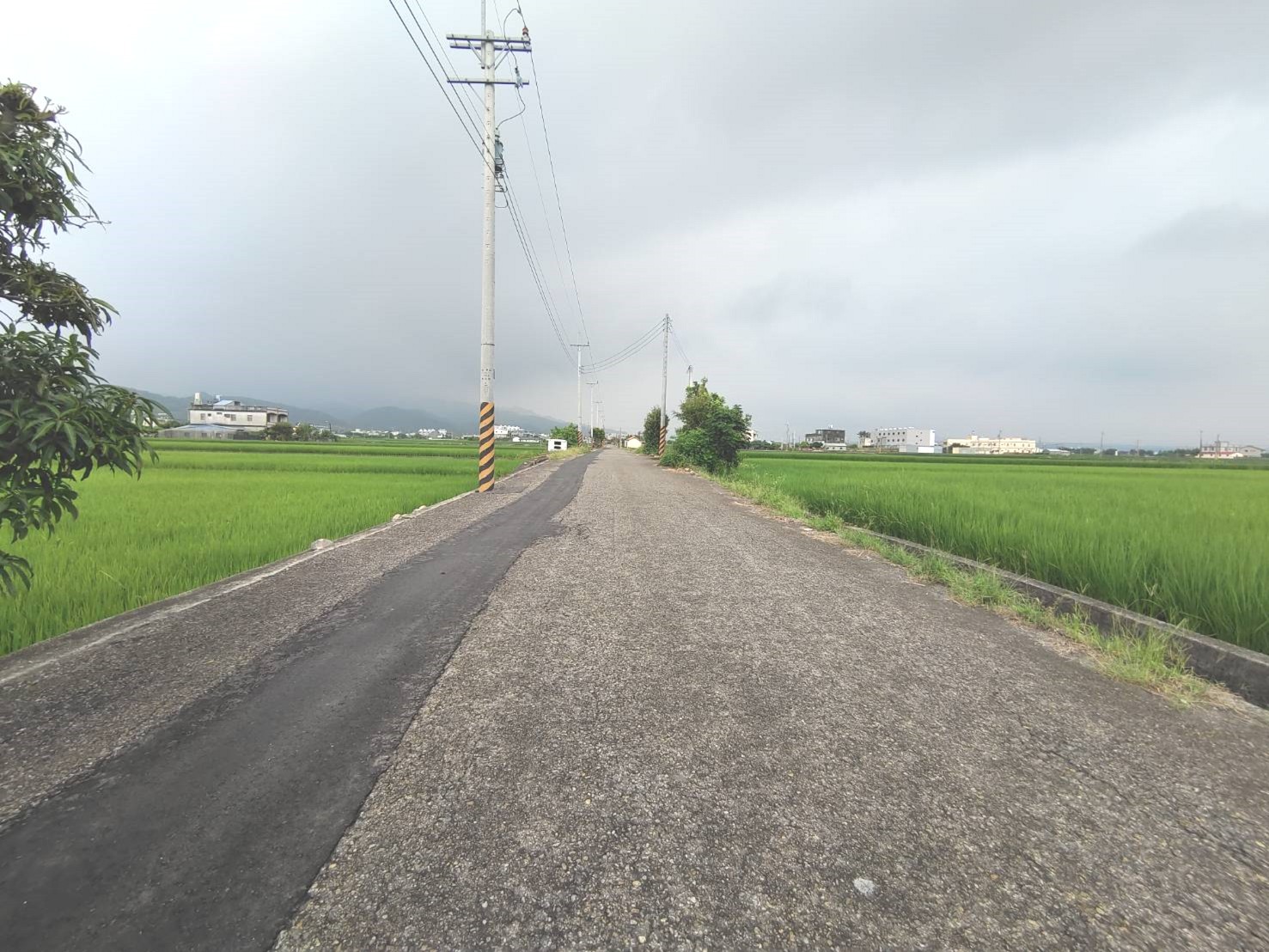 苑裡鎮臨路農田 投資 自耕農作