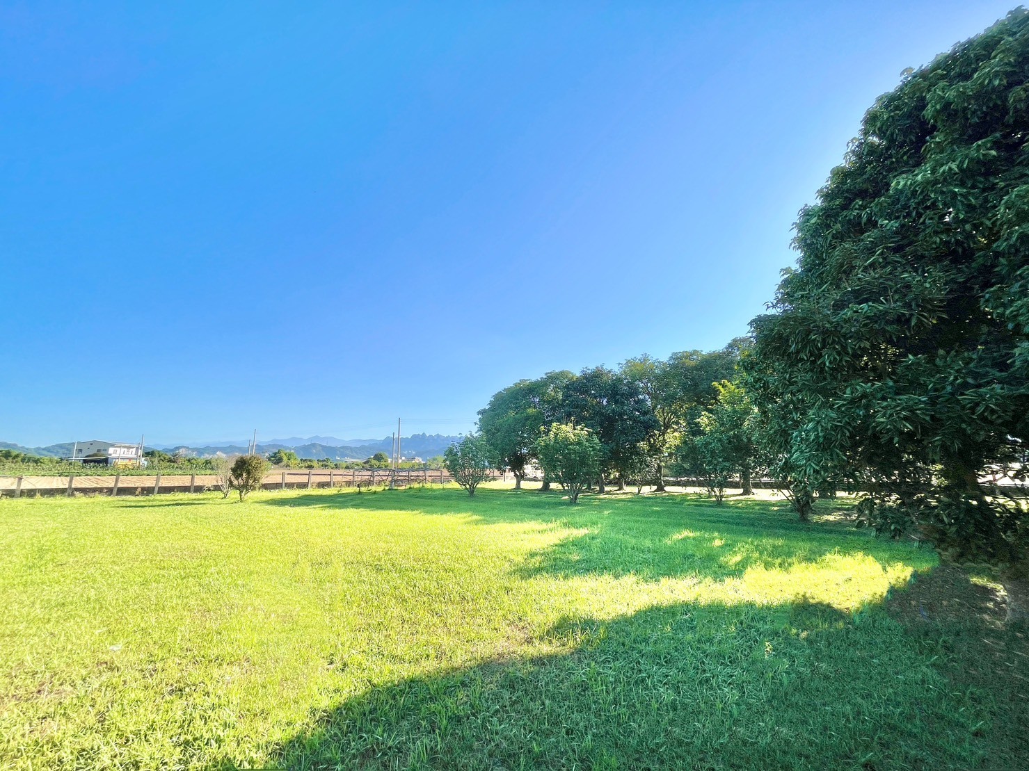 草屯中和路農地2分3