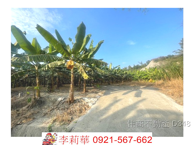 左鎮一般農牧用地