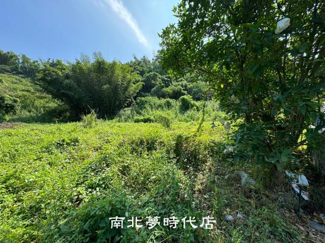 左鎮20米大馬路有水有電農地