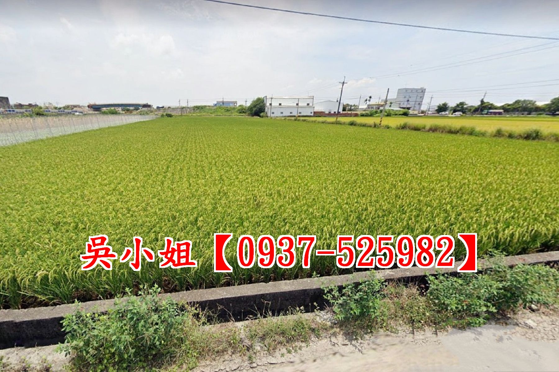 花壇口庄都內田★洽吳小姐0937-525982