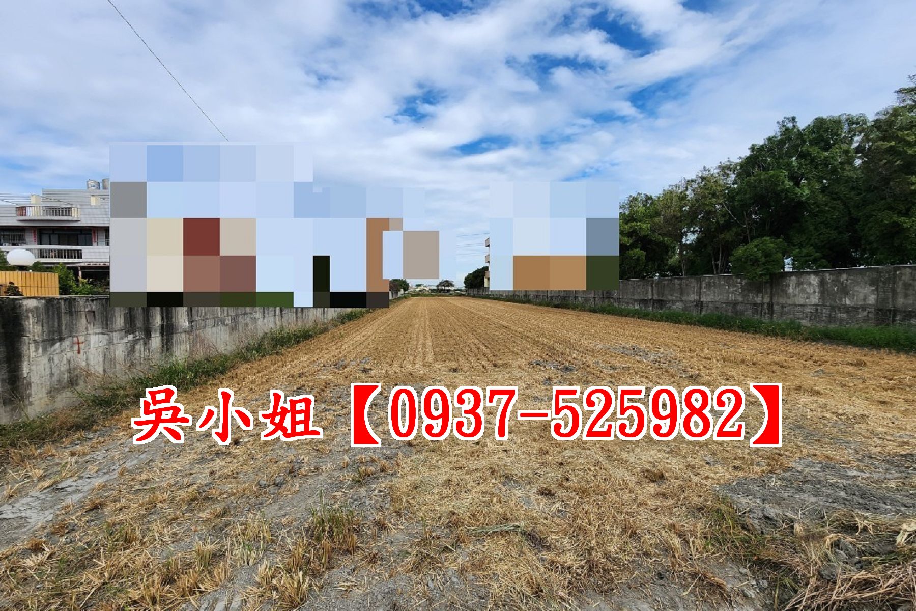 花壇茉莉園田★洽吳小姐0937-525982