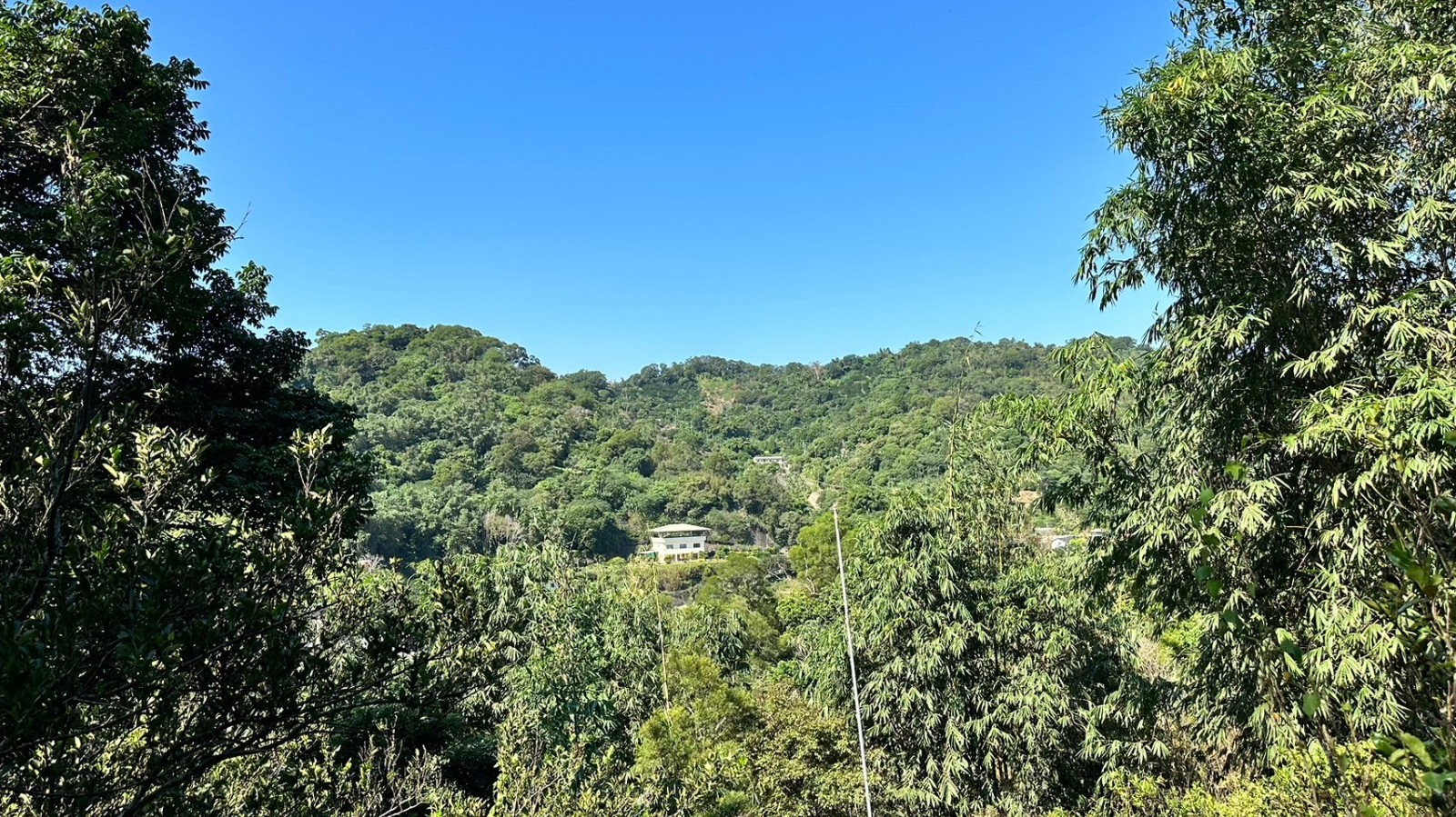 大坑風景區舒活農地