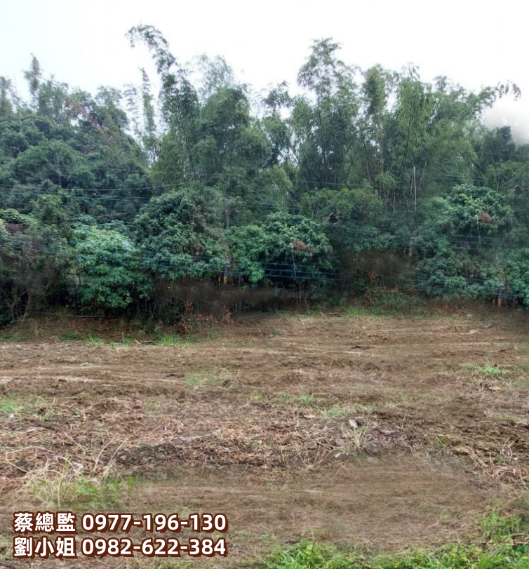 仁武超漂亮休閒農地