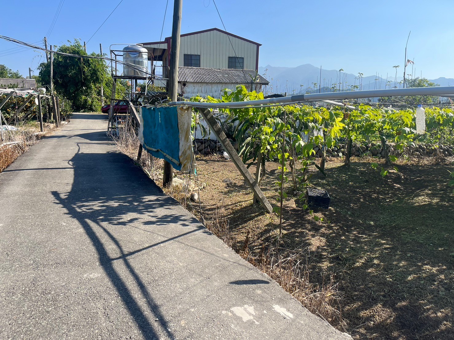 新社月湖增值全平農地